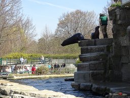 Tiergarten Schönbrunn am 23.03.2023
